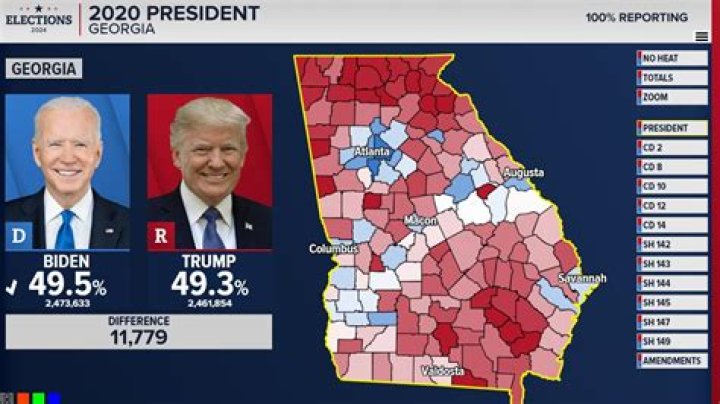 Conservative Advocate And Georgia Political Force