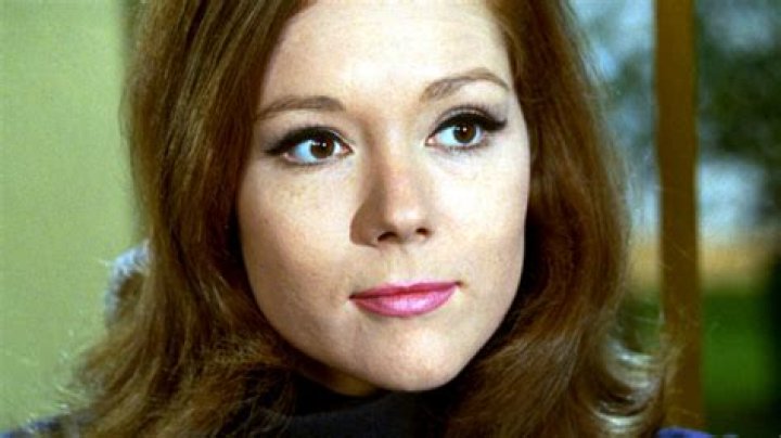 Exploring The Life And Career Of Maggie Lawson