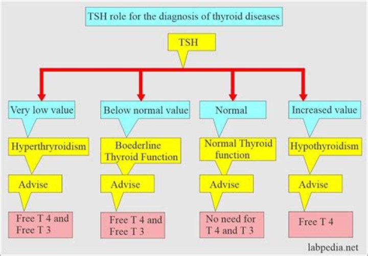 Understanding Robert Hight's Illness: A Detailed Analysis