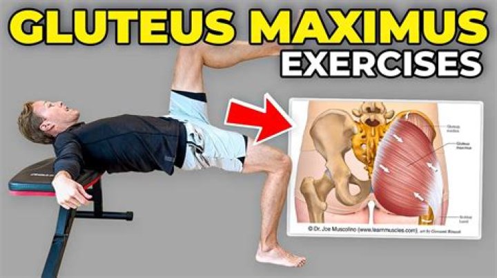 Unleash The Secrets Of Physical Excellence: Maximus Stratus Fisico Unveiled