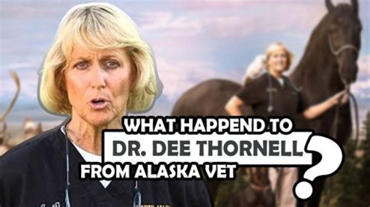Unraveling The Cancellation Of "Dr. Dee Alaska Vet": Reasons And Revelations