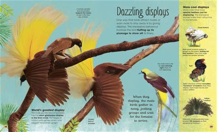 Unveiling The Extraordinary World Of Rachel Bush: Insights And Discoveries