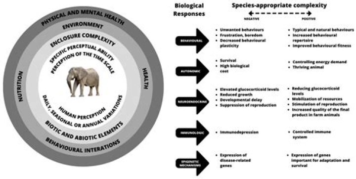 Unveiling The Hidden Influence: "Scott Adams' Wife" Revealed