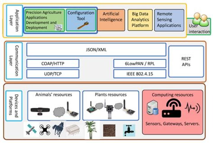 Unveiling Tyla's Measurements | In-Depth Analysis